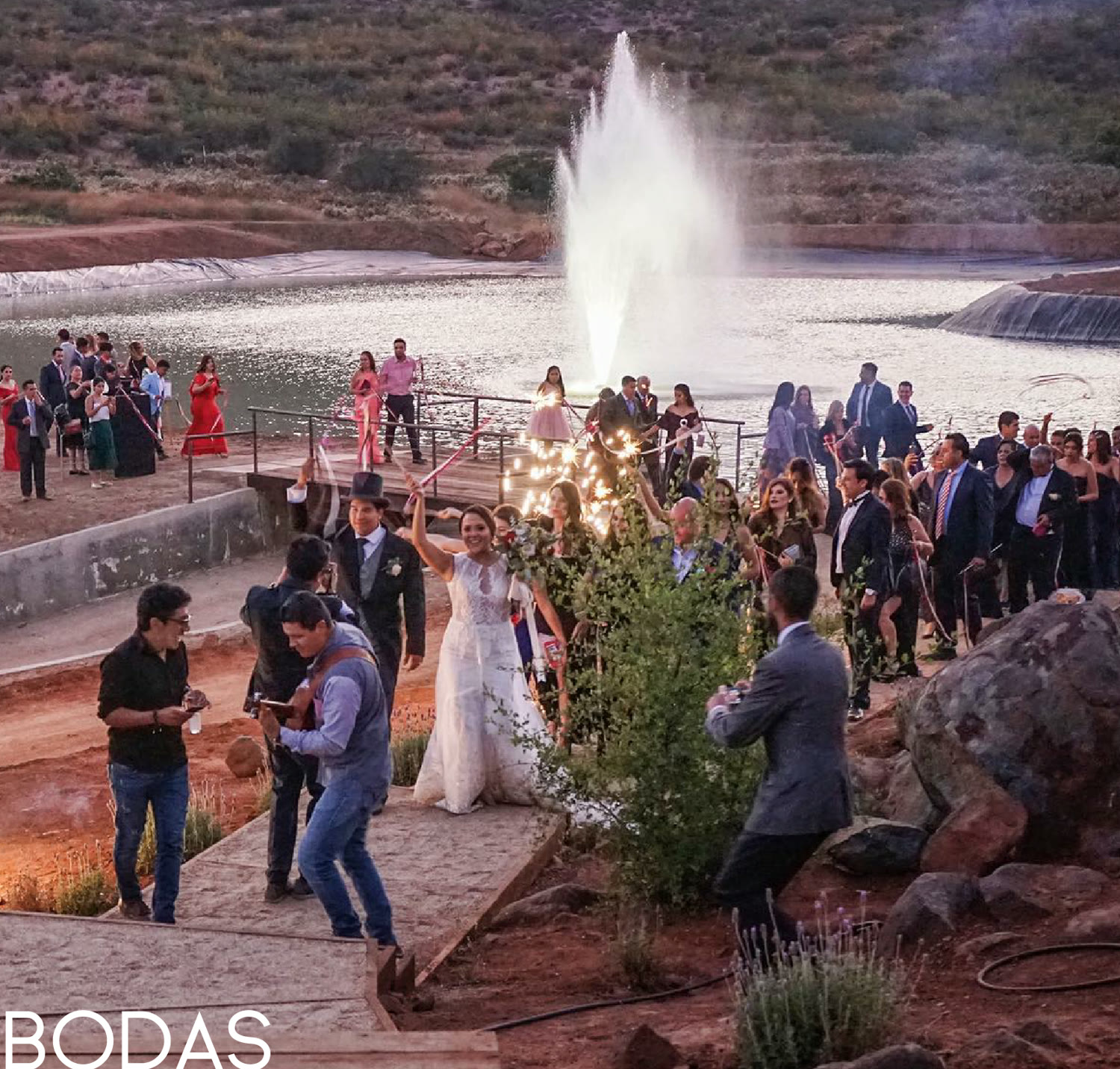 Bodas